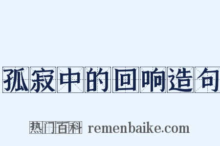 孤寂中的回响造句是什么意思的图片